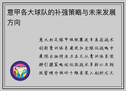 意甲各大球队的补强策略与未来发展方向